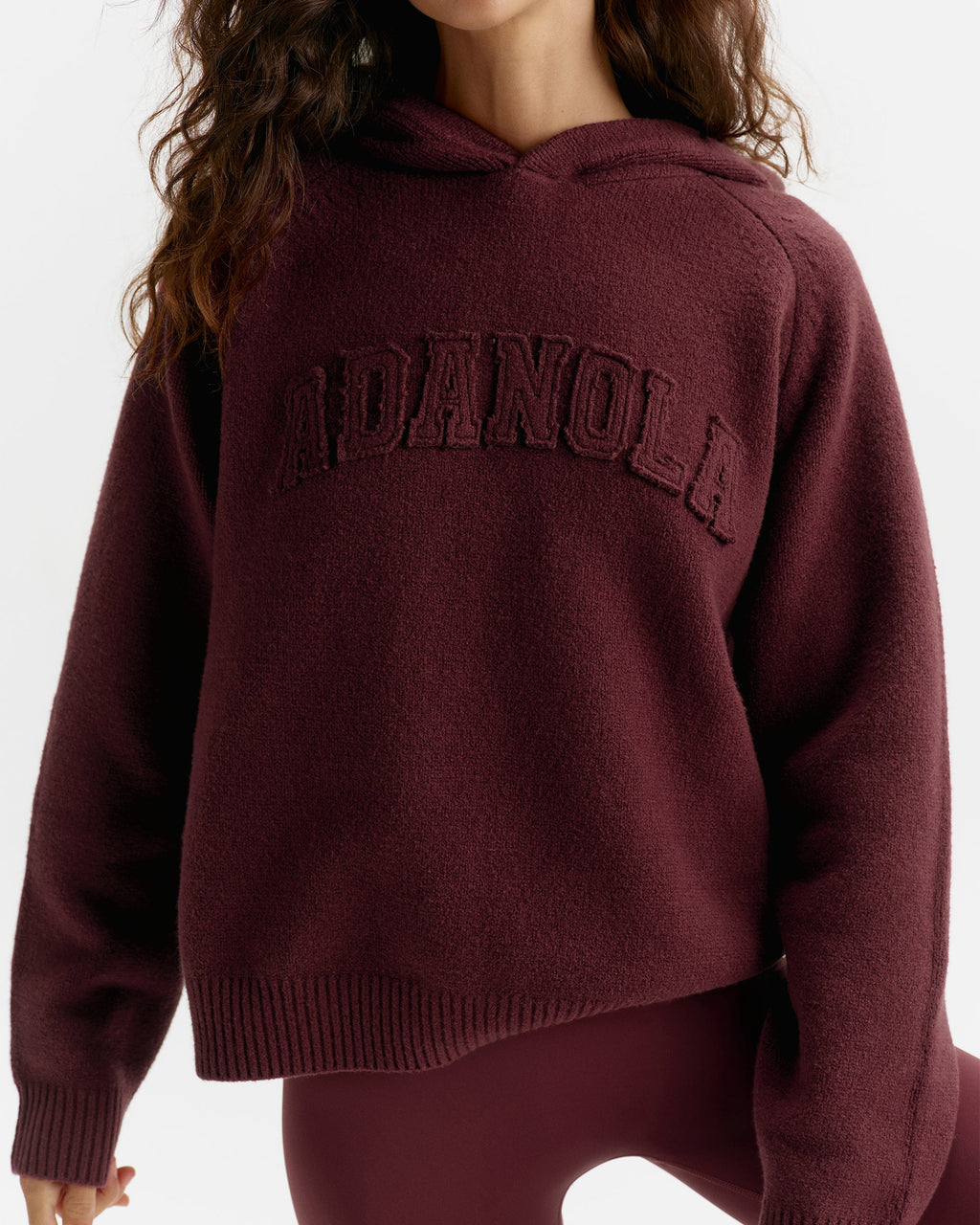 Oversized Knit Hoodie - Damson