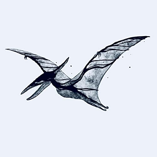Me Rex - Pterodactyl/Plesiosaur [VINYL]
