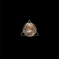 Actress X London Contemporary Orchestra - Audio Track 5 [12"] [VINYL]