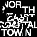 Life - North East Coastal Town [VINYL]
