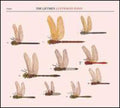 The Liftmen - Luftwaffe Pond [VINYL]