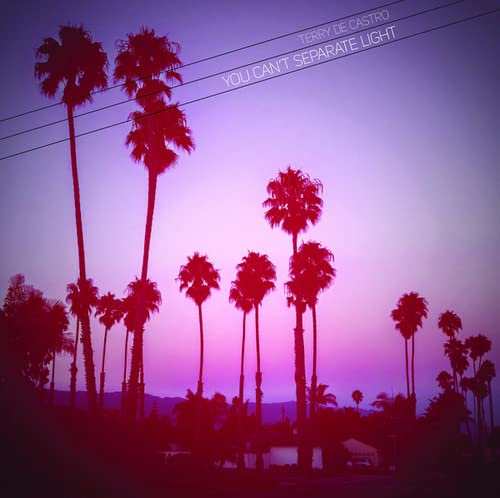Terry De Castro - You Can't Separate Light [10"] [VINYL]