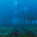 Various Artists - Commune [12"] [VINYL]