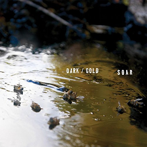 Soar - Dark / Gold [VINYL]