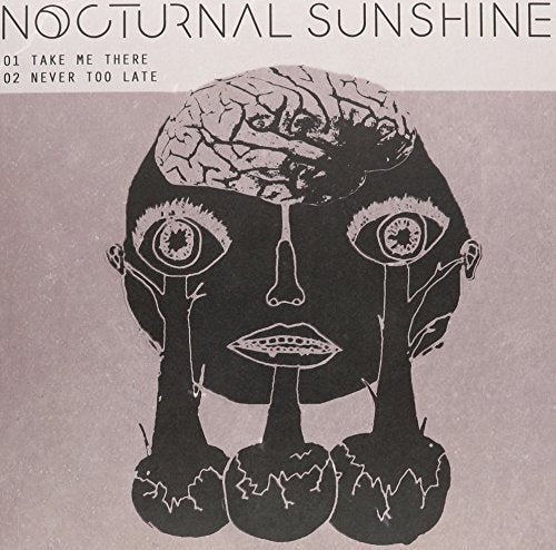 Nocturnal Sunshine - Take Me There [VINYL]