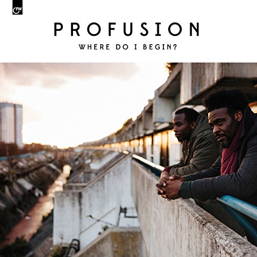 Various - Where Do I Begin [VINYL]
