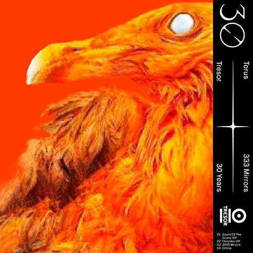 Torus - 333 Mirrors [VINYL]
