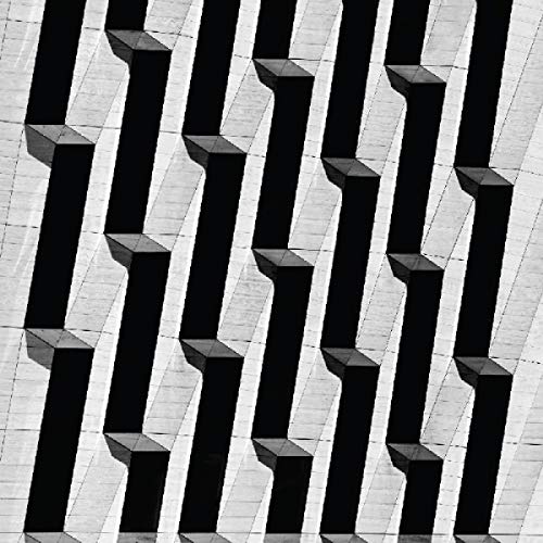 Snow Palms - Everything Ascending [VINYL]
