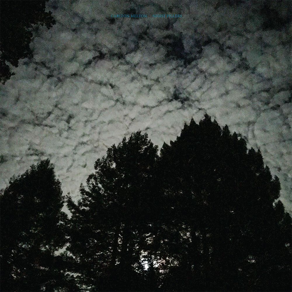 Carlton Melton - Night Pillers