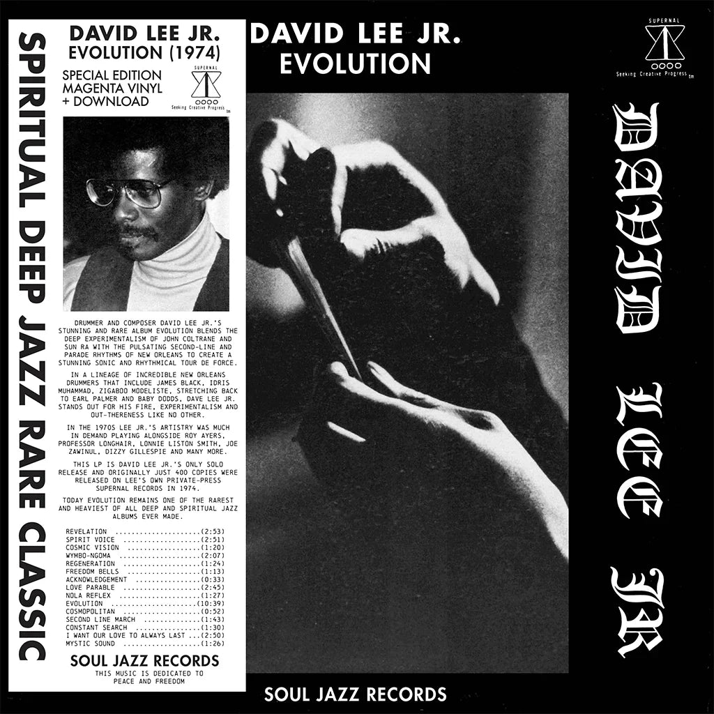 David Lee Jr - Evolution