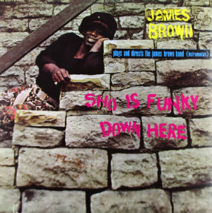 James Brown	- Sho Is Funky Down Here