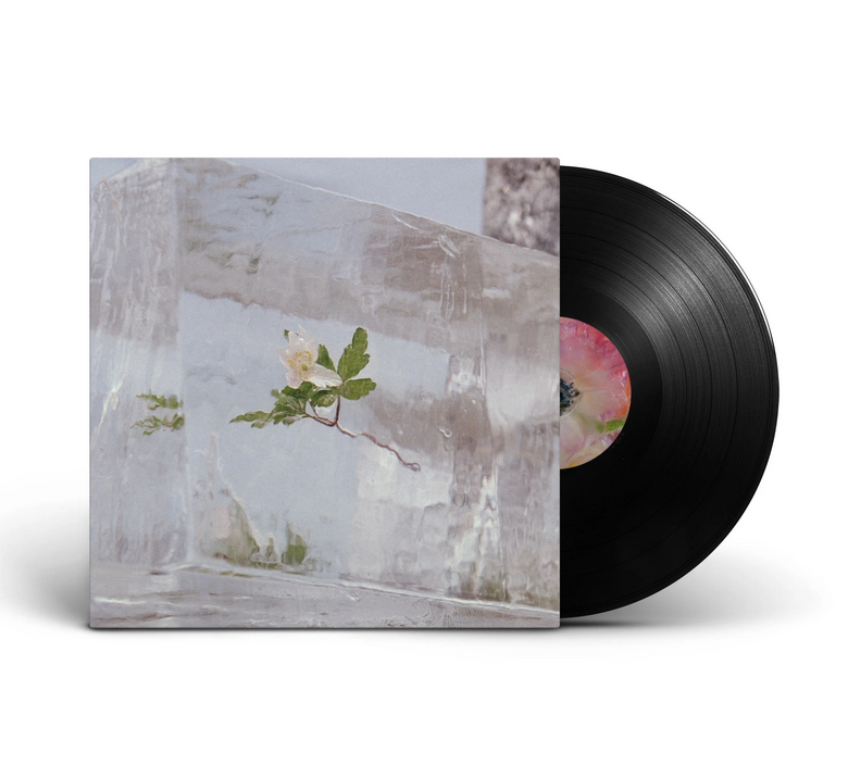 Efterklang - Wildflowers