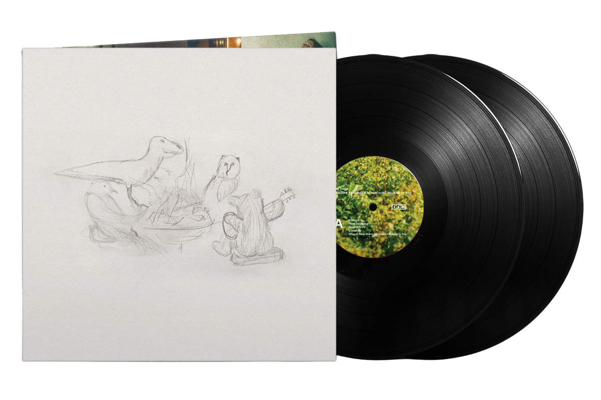 Big Thief - Dragon New Warm Mountain I Believe In You