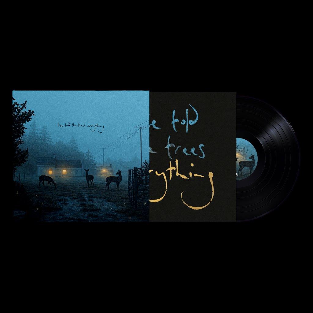 Dermot Kennedy - I've told the trees everything [VINYL]