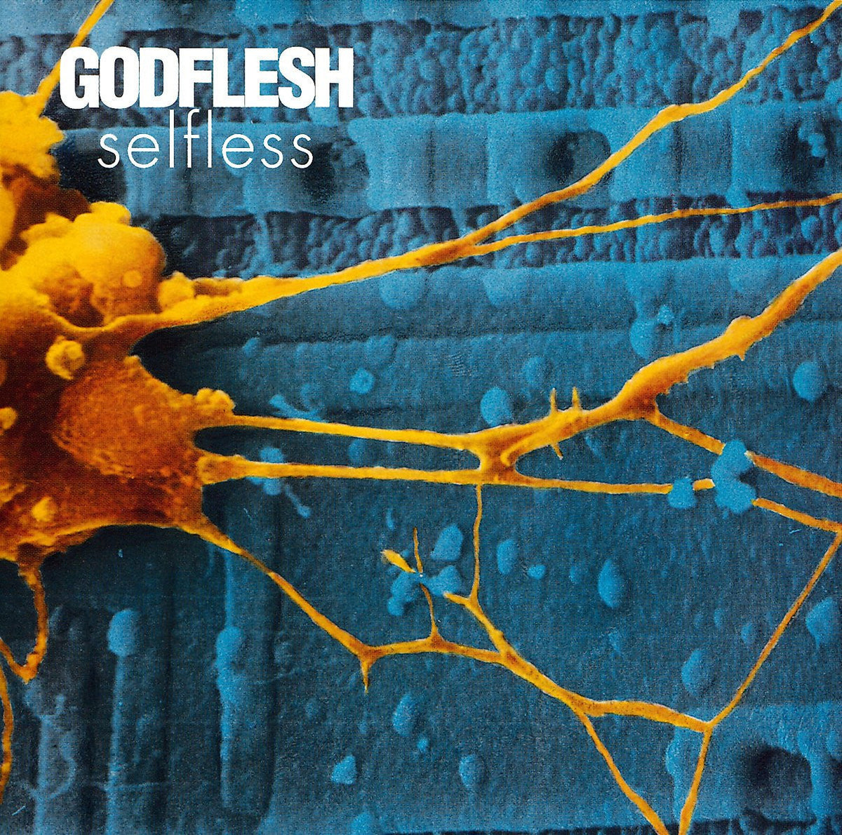 Godflesh - Selfless