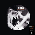 T. Rex - T.Rex: The Groover (50th Anniversary) Picture Disc [VINYL]